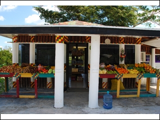#13 The Poor Man's Shop, Duncombe's Coppit