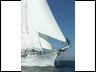 author on Arabella's bow