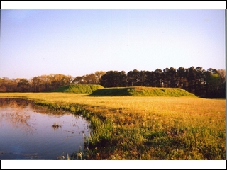 mounds in Moundville, Alabama