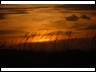 #1 dune at sunset