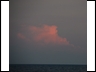 #21 pink cloud