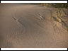 #4 tracks on dune