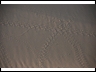 #5 tracks on dune