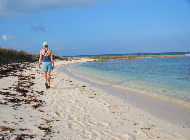 # 8 Author on beach near Driggs Hill