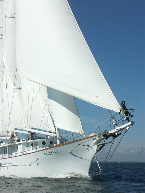author on Arabella's bow