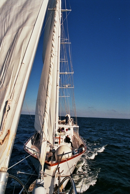 Arabella from the bowsprit