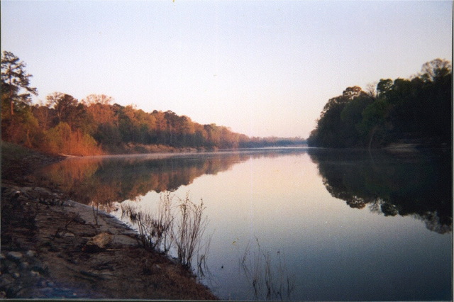 the Black Warrior River, Moundville, Alabama