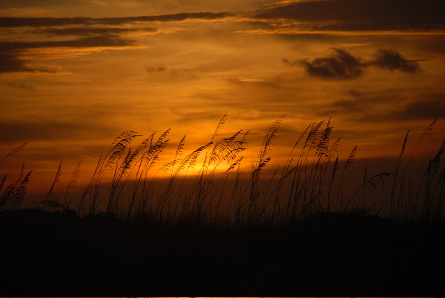 #1 dune at sunset