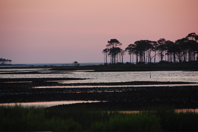 #16 East Slough at sunset